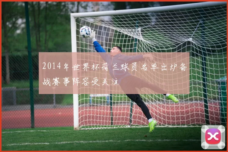 2014年世界杯荷兰球员名单出炉备战赛事阵容受关注