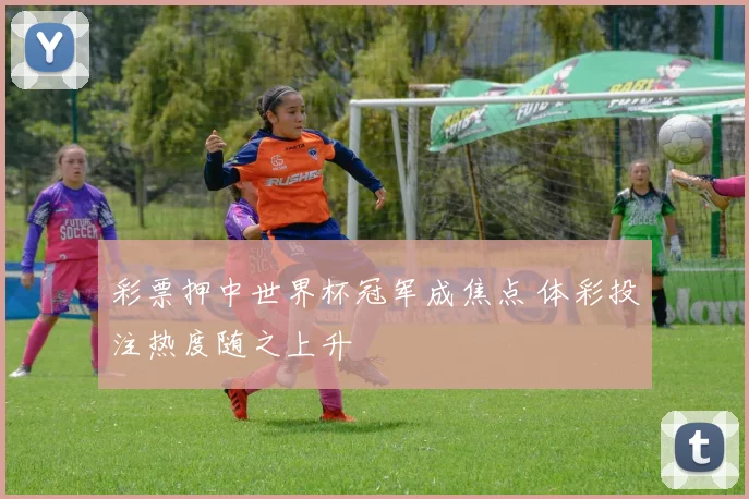 彩票押中世界杯冠军成焦点 体彩投注热度随之上升