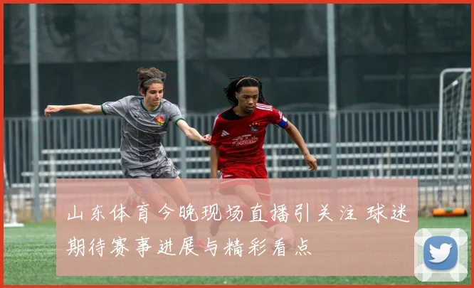 山东体育今晚现场直播引关注 球迷期待赛事进展与精彩看点